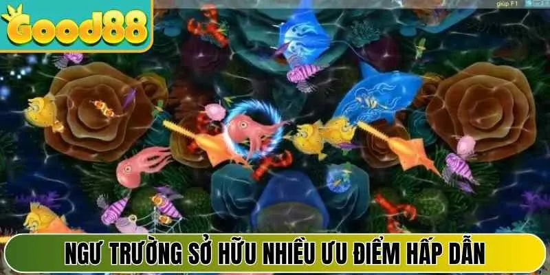Kinh nghiệm đi săn sở hữu số xu lớn