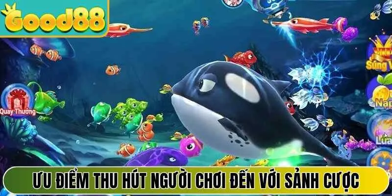 Ưu điểm thu hút người chơi đến với sảnh cược