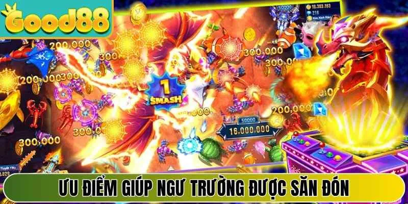 Ưu điểm giúp ngư trường được săn đón