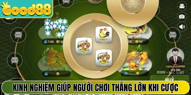 Kinh nghiệm giúp người chơi thắng lớn khi cược