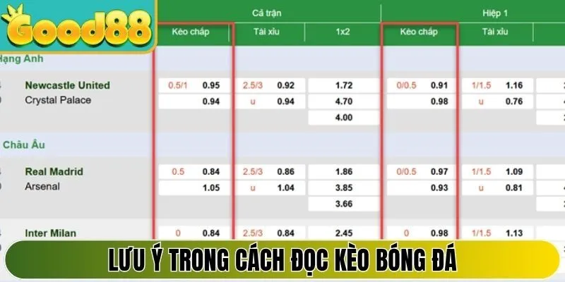 Lưu ý đọc tỷ lệ kèo bóng đá tại sân chơi cho tân binh
