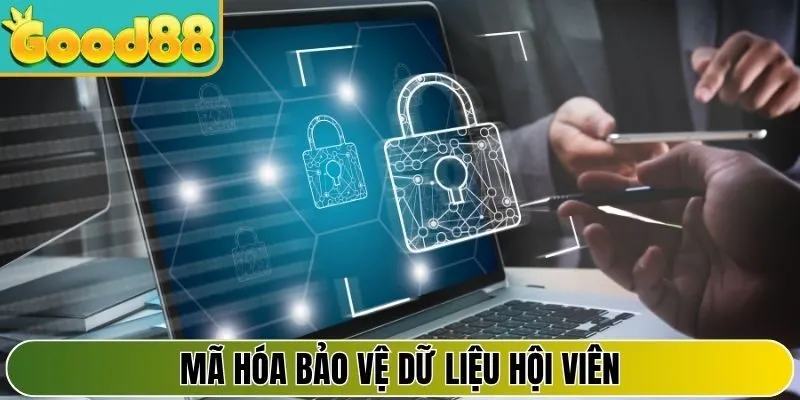 Mã hóa bảo vệ dữ liệu hội viên, tạo rào chắn vững chắc