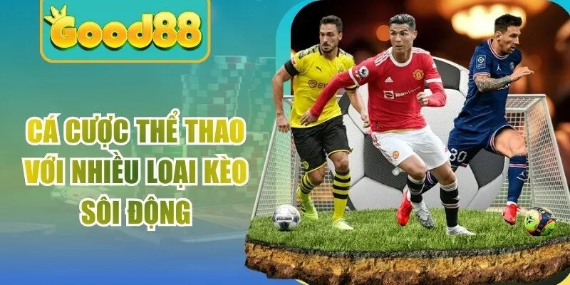 Cá cược thể thao với nhiều loại kèo sôi động