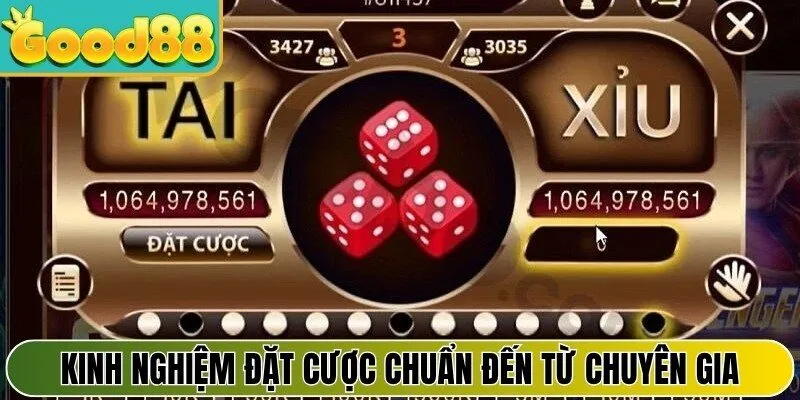 Kinh nghiệm đặt cược chuẩn đến từ chuyên gia