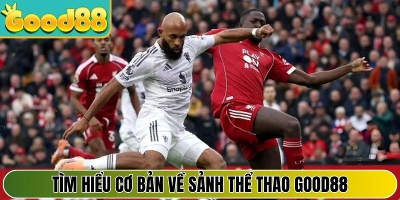 Tìm hiểu cơ bản về sảnh thể thao Good88 trong năm 2026