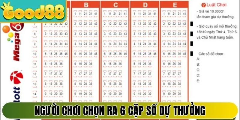 Người chơi chọn ra 6 cặp số dự thưởng